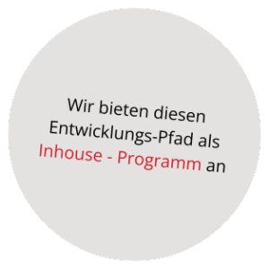 Entwicklungs-Pfade für Führungskräfte - Website Störer Inhouse Programm